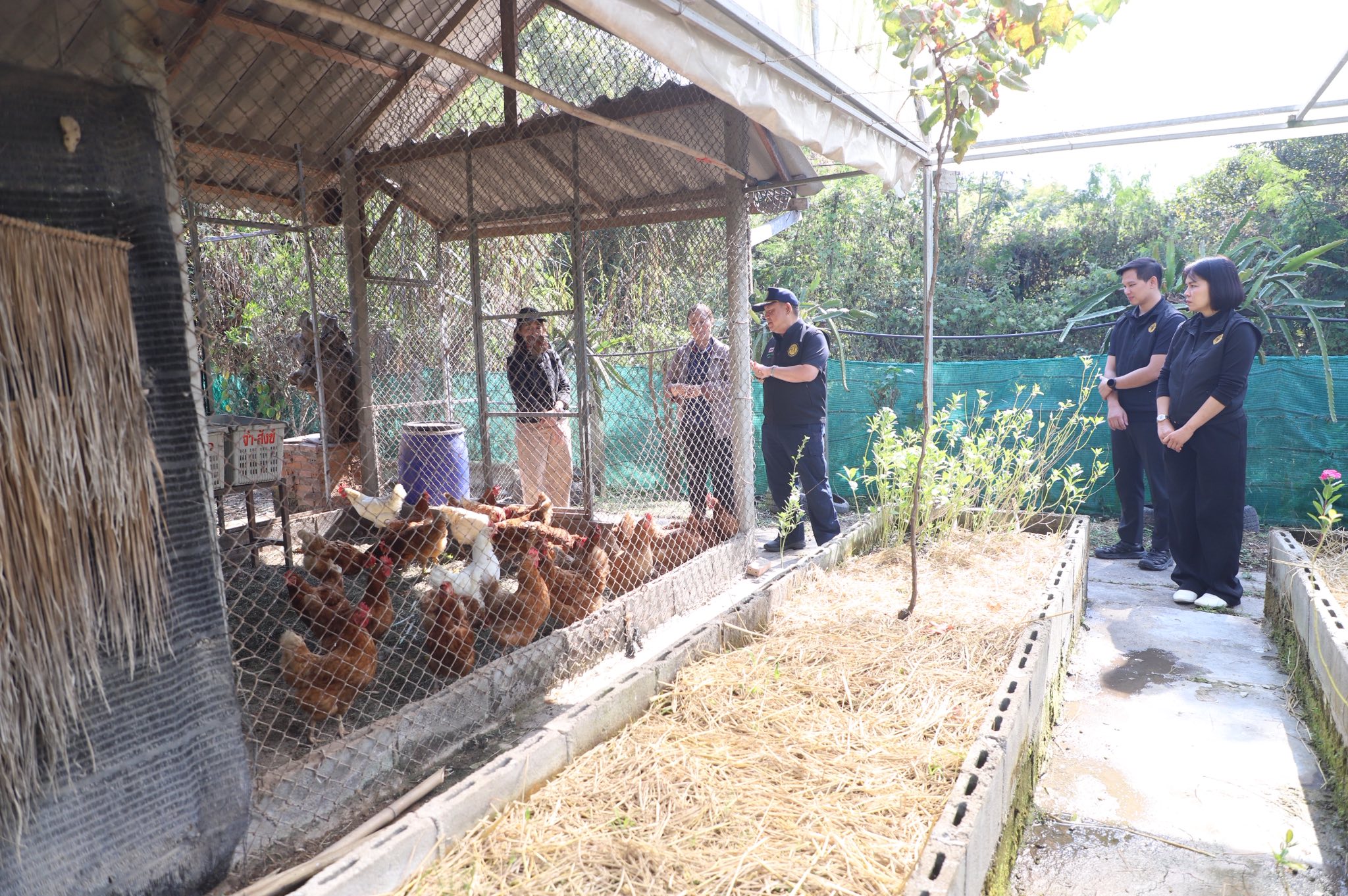title - ”พลิกโฉมเกษตรกรสู่ผู้ประกอบการ“ ส.ป.ก.ลำพูน โชว์ความสำเร็จเกษตรอินทรีย์ครบวงจร ตั้งแต่แปลงปลูกสู่ตลาดพรีเมียม!!
